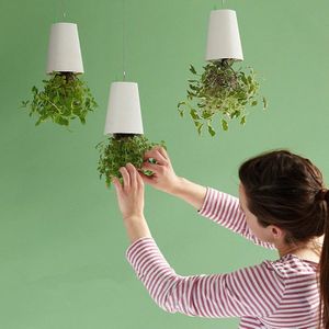 Zelf Gieter Omgekeerde Levitating Plant Pot Wandmontage bloempot Plantenbakken voor Vetplanten Bloempotten Decoratieve plantenpot