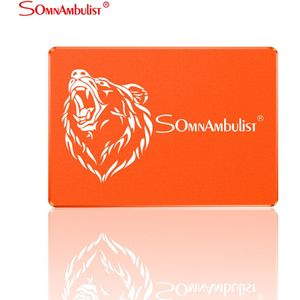 120Gb 240Gb 480Gb 960Gb 2Tb SATA3 Notebook Desktop Computer Ssd 2.5-Inch Ingebouwde in Solid State Drive