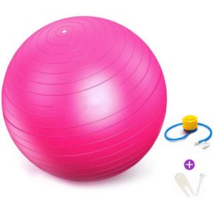 Fitness Ballen Yoga Bal Oefening Home Gym Pilates Apparatuur Balance Ball Pvc 85Cm Blauw Grijs Rood Geel Groen Paars roze