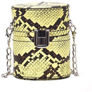 Mini Cilinder Vormige Schouder Messenger Handtassen Voor Vrouwen Ins Snake Print Pu Keten Crossbody Tassen Met De Emmer Avond Siste