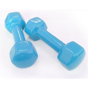 Plastic dip in halter voor vrouwen fitness gewicht dumbbells fitness dumbbells Fitness &amp; Body Building dumbell kettlebell1.5kg * 2 stks