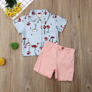 Pudcoco Zomer Peuter Baby Boy Kleding Print Katoenen T-Shirt Tops Korte Broek 2 Stuks Outfits Zomer Kleding