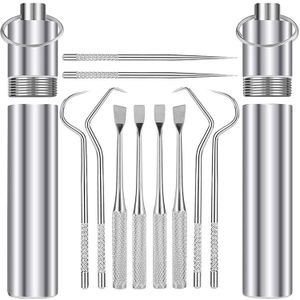 5 Stuk Set Van 2 Stuk Draagbare Pocket Rvs Tandenstokers, geschikt Voor Outdoor Kamperen En Picknick Trips