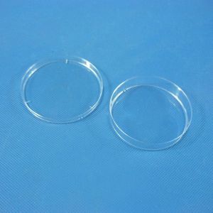 10 stks/set 70x15mm Steriele Plastic Petrischaaltjes met cover Transparant Bacteriële Gist Plaat tissue cultuur schotel