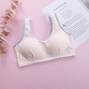 95% Katoen Tiener Meisjes Kleding Training Beha Grote Meisjes Puberteit Ondergoed Voor 7-16yrs Casual Sportbeha Student Vest Kleding
