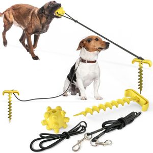 Hond Stake Multi-Functionele Draagbare Outdoor Tie-Out Voor Honden Tanden Reinigen Molars Bal, outdoor Hond Tandenborstel Chew Toy