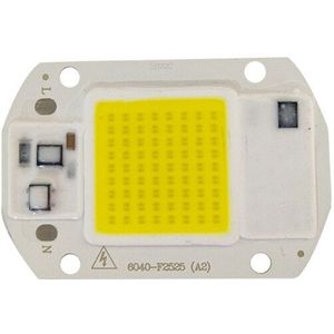 High Power Led Chip 20W 30W 50W Wit/Warm Wit, gratis Drive Super Heldere Smd Cob Gloeilamp Lamp Kralen Diy Verlichting