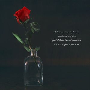 Romantiek Eeuwige Leven Bloem Glas Cover Schoonheid En Beest Rose Led Batterij Lamp Verjaardag Valentijnsdag Aanwezig Moeder