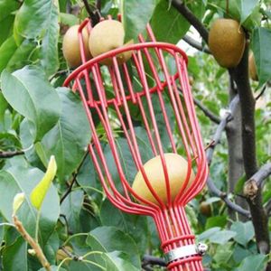 Tuingereedschap Fruitplukker Tuinieren Vruchten Collection Picking Hoofd Tool Fruit Catcher Apparaat Kas Fruit Picker