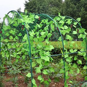 Tuin Groen Nylon Groente Plant Trellis Netting Ondersteuning Netten Bean Plant Klimmen Groeien Hek Anti-vogel Net