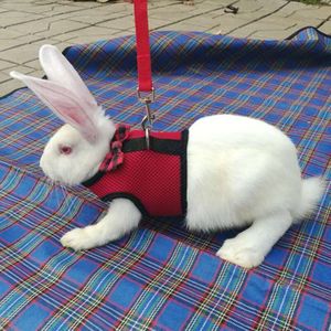 Konijnen Hamster Harnas Vest Bunny Mesh Borstband Harnesses Leash Fret Cavia Kleine Dieren Huisdieren Accessoires