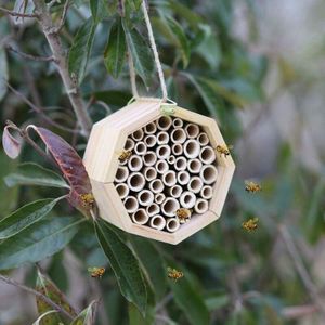 2Pack Natuurlijke Bamboe Bijenkorf Insect Hotels Mason Bee Huis Buizen Voor Trekt Vreedzame Bee Bestuivers Voor De Tuin