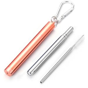 Roestvrij Staal Vouwen Stro Telescopische Rietje Pen Shaped Case Carabiner Herbruikbare Metalen Stro Reizen Picknick Drinkware