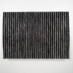 Cabine filter geschikt voor Nissan X-trail 2.0L 2.5L OEM: B7200-4BA0A-D403 # RT314C