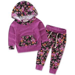 Aa Bloemen Baby Meisjes Kleding Lange Mouw T-shirt Jas Hooded Tops + Broek Casual Outfits 2 Stuks Hooded Kleding Set