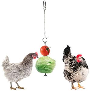 Rvs Vogel Kip Groenten Spies Voedsel Fruit Houder Voor Hens Opknoping Groente Feeder Foerageren Speelgoed Vogel Benodigdheden C42