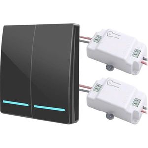 433Mhz Draadloze Schakelaar Licht Smart Push Rf Afstandsbediening Ac 110V 220V Ontvanger 50M Wandpaneel knop Slaapkamer Lamp 1000W (2 Gang