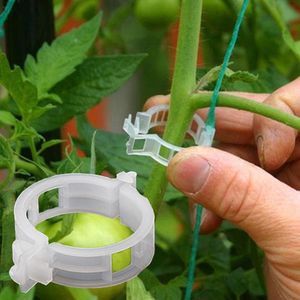 50/100/200 Pcs 23 Mm Plastic Plant Ondersteuning Clips Klemmen Voor Planten Opknoping Wijnstok Tuin Kas Groenten tomaten Clips