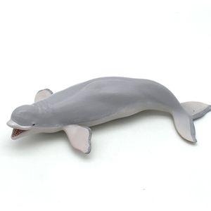 Levensechte Beluga Walvis Oceaan Dier Pvc Model Figuur Educatief Speelgoed Kinderen