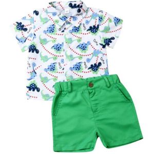 2 Stuks Peuter Kid Baby Boy Kleding Sets 1-6Y Cartoon Animal Print Shirt Tops + Broek Shorts Strand Kleding Outfit zomer