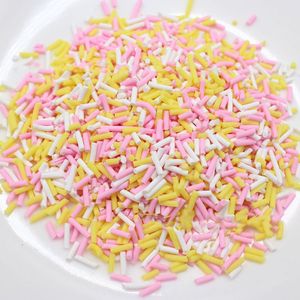 100 G/partij Gemengde Lange Cilindrische Polymeer Zachte Klei Sprinkles Voor Ambachten Diy Tiny Leuke Plastic Klei Accessoires Slime Vullen