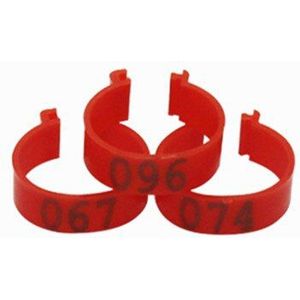 100 PCS NO.1-100 gevogelte digitale Clip Ring Binnendiameter 2.5cm Kip Eend Gans Vogel digitale Voet Ring 5 Kleuren