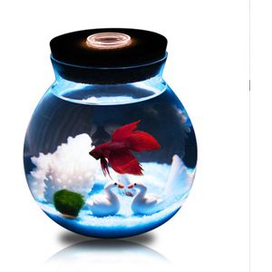 1Pcs Mini Betta Vis Tank Met Kleine Lights Desk Ornament Aquarium Planten Decoratie Achtergrond Huisdier Accessoires Benodigdheden