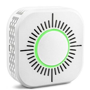 Draagbare 433Mhz Draadloze Alarm Rookmelder Remote Rf Radio Control Fire Bescherming Detectoren Security Alarm Sensor Systeem