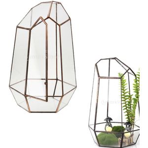 19 Cm Hoogte Onregelmatige Glas Geometrische Terrarium Box Tafelblad Vetplant Planter Bloem Moss Fern Pot