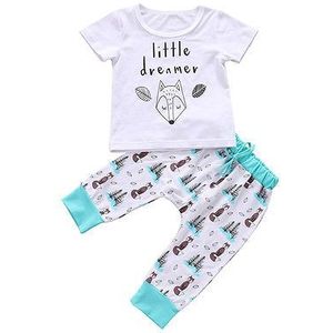 0-24M Pasgeboren Baby Jongen Meisjes Vos T-shirt Tops Bloemen Broek Kleding Outfits