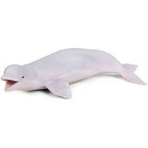 Levensechte Beluga Walvis Oceaan Dier Pvc Model Figuur Educatief Speelgoed Kinderen