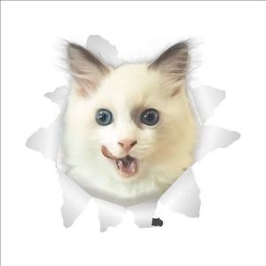 3D Levendige Katten Gebroken Wc Schakelaar Deur kast Stickers Koelkast Muurstickers Decals Voor Thuis Badkamer Decor Poster Muurschildering