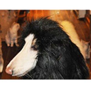 Leuke Pet Hond Kat Cosplay Kleding Transfiguratie Kostuum Leeuw Manen Warm Pruik Grote Hond Party Decoratie Met Oor Pet Accessoires