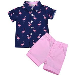 Kids Kleding Set Kinderkleding Jongen Mode Shirt Broek 2 Delige Set INS Firebird Top Roze Shorts Navy blauw Voor Jongens Set