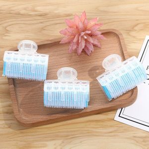 3 Stks/partij Plastic Zelfklevende Haar Rollen Krultang Haar Bang Roll Curler Kappers Haar Curling Tool Girl Beauty Styling tool