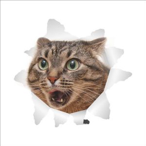3D Levendige Katten Gebroken Wc Schakelaar Deur kast Stickers Koelkast Muurstickers Decals Voor Thuis Badkamer Decor Poster Muurschildering