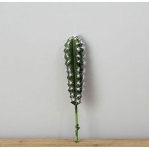 Kunstmatige Stroomden Cactusvijg Vetplanten Cactus Groene Planten Nep Bloemen Ballen Diy Thuis Tafel Decor Desert Planten Landschap