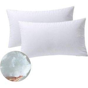 Vulling Kussen Fiber 30X50 Cm Pack 2 Insert Rechthoek Firm Shape Anti-Allergische Pluizige Slaapbank Kussens.