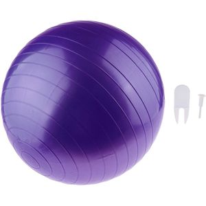 Yoga Oefening Bal Pvc Workout Gids Bal Voor Gym Pilates Balance Stabiliteit Fitness Body Building - Anti Burst Geen Slip 45Cm/85Cm
