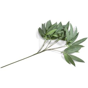 Eucalyptus branch H95cm