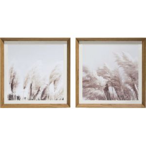 Schilderij Pampas set van 2