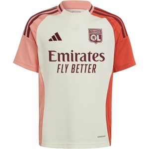 Funktionsshirt 'Olympique Lyonnais 24/25 Third'