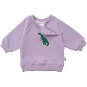 Sweatshirt 'Dino'