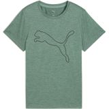 Funktionsshirt 'Tad Essential'