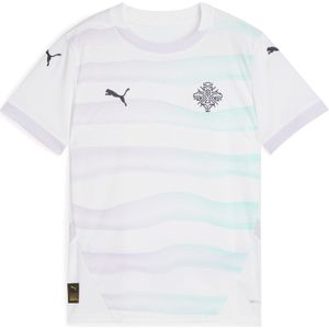 Funktionsshirt 'Island Team 2025'