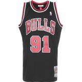 Top 'Dennis Rodman'