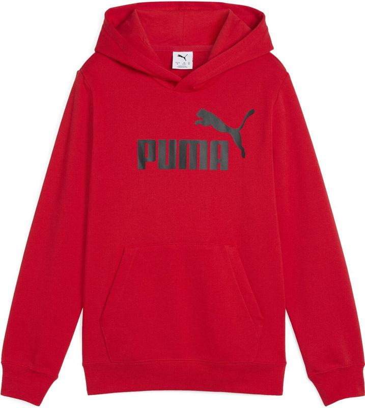 Sweatshirt 'ESS No. 1'