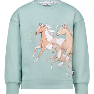 Sweatshirt 'Star Stable'