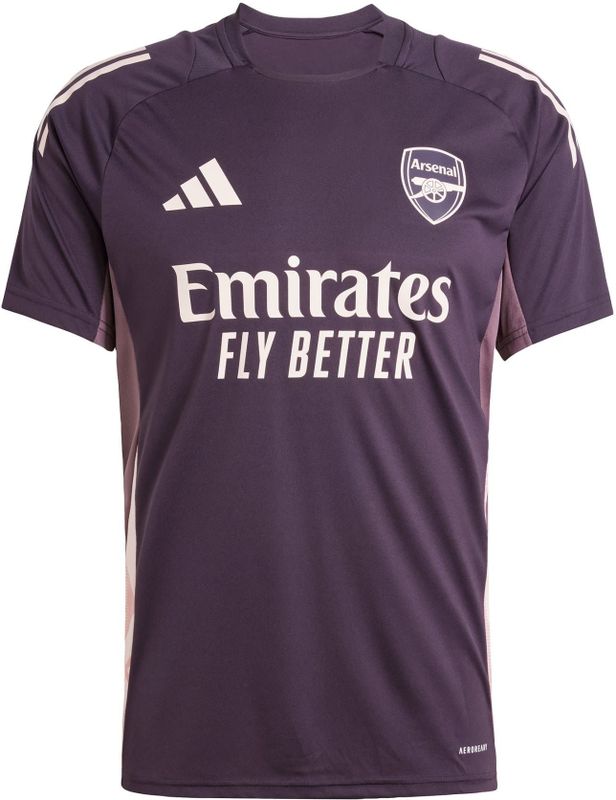 Funktionsshirt 'Arsenal Tiro 24'
