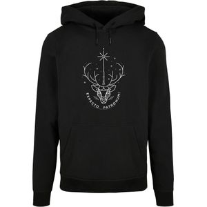 Sweatshirt 'Harry Potter - Expecto Patronum'